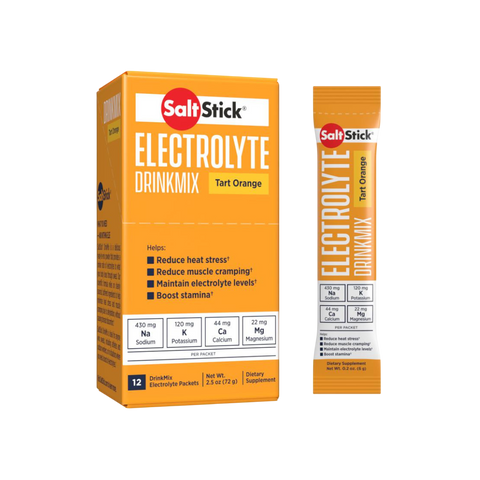 SaltStick Drink Mix (Sachet)-Cramp Solution-SaltStick-Malaysia-Singapore-Australia-Hong Kong-Philippines-Indonesia-Bigbigplace.com