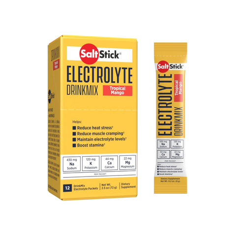 SaltStick Drink Mix (Sachet)-Cramp Solution-SaltStick-Malaysia-Singapore-Australia-Hong Kong-Philippines-Indonesia-Bigbigplace.com