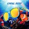 Knockaround Fort Knocks Sunglasses - Coral Reef (Limited Edition)-Sunglasses-Knockaround-Malaysia-Singapore-Australia-Hong Kong-Philippines-Indonesia-Bigbigplace.com